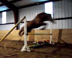 georgejump2.jpg