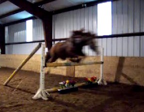 georgejump3.6.jpg