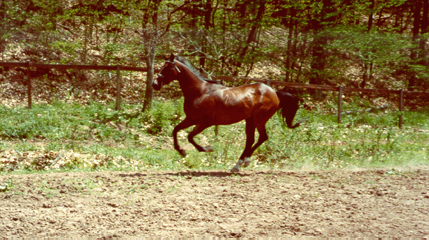 picture046.gif